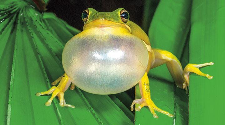 How to Use Neuroscience to Stop Hiccuping. Immediately.